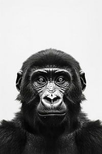Gorilla-Porträt in Schwarz-Weiß