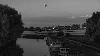 Balloon in black and white