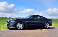 Zwarte Ford Mustang model 2018 in de zon van MPfoto71 thumbnail