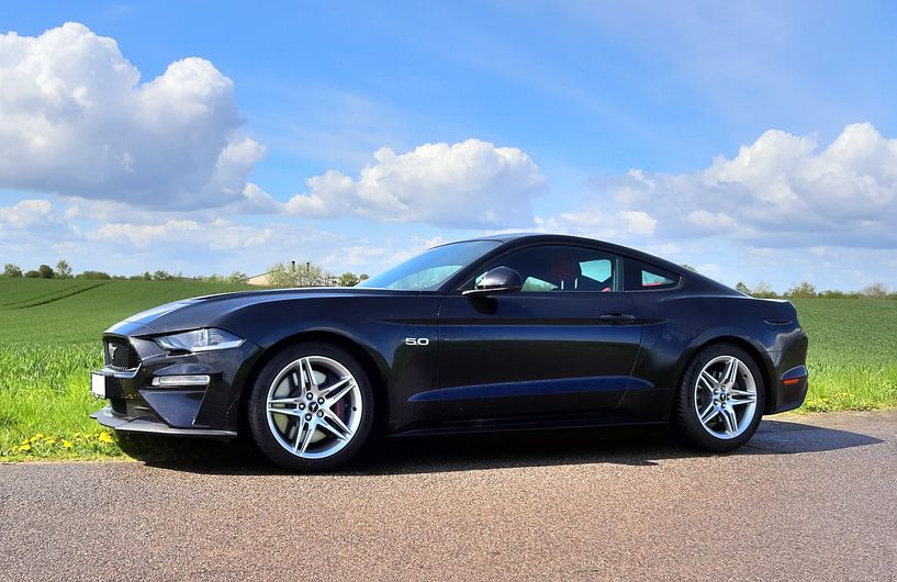 Zwarte Ford Mustang model 2018 in de zon van MPfoto71