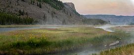 sunrise Yellowstone National Park, Madison River, USA