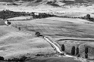Agriturismo Podere Terrapille in Black and White by Henk Meijer Photography thumbnail