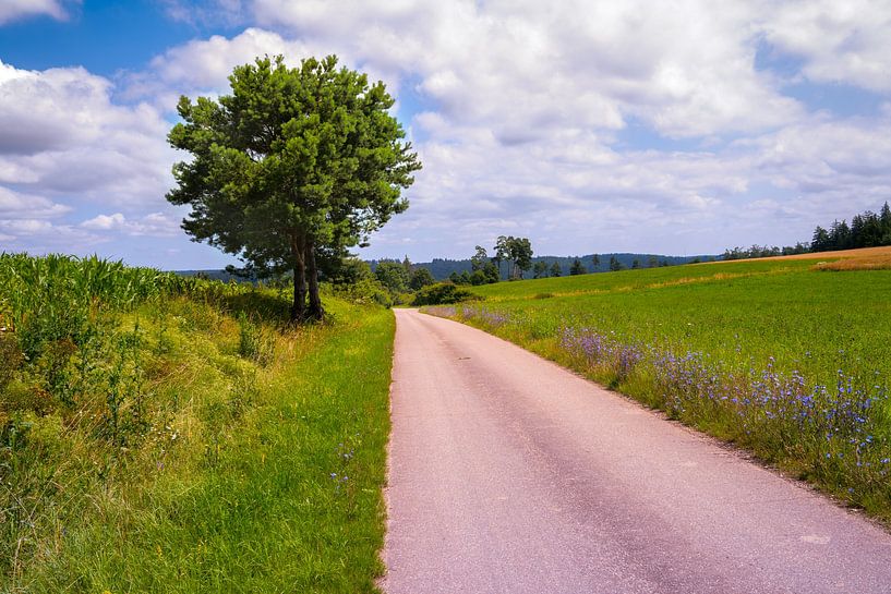 Idyllic landscape in the Altmühl valley by ManfredFotos