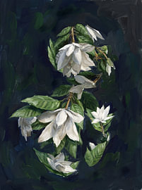 Heitere weiße Blüten von HUGO