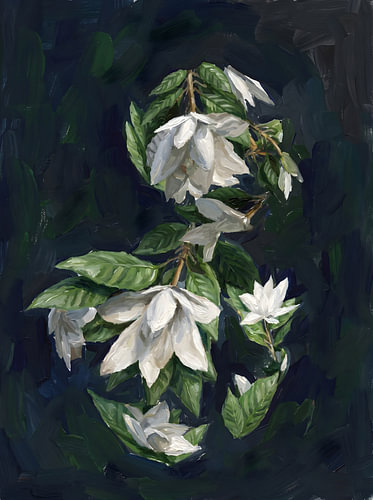Serene White Blossoms