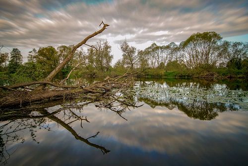 „Spiegel der Lahn bei Argenstein