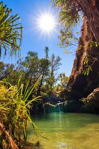 La piscine naturelle