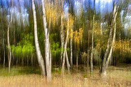 Herbst in Bewegung von Patty Elferink