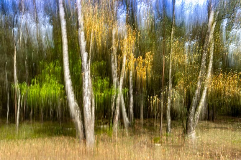 Herbst in Bewegung von Patty Elferink