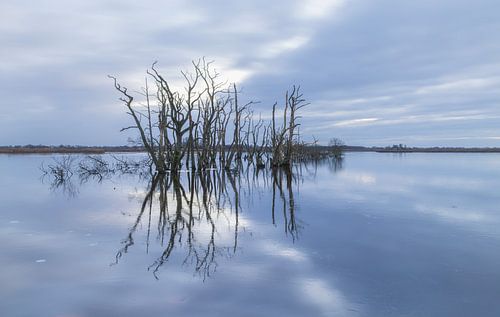 Ecologisch park Tusschenwater - Zuidlaren - De Groeve (Nederland)