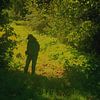 Wandelaar in het bos. van Paul Nieuwendijk