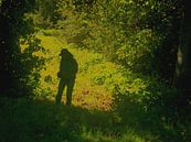 Wandelaar in het bos. van Paul Nieuwendijk thumbnail