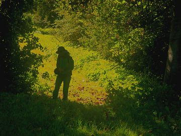 Wandelaar in het bos. van Paul Nieuwendijk