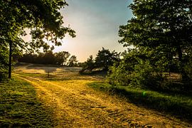Ingang naar meer by Bjorn Cornelissen