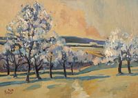 The Bellet Orchard Epen