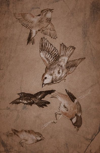 Die Liebe führt den Pilger - Studie über die Vögel von Moonheart Artworks