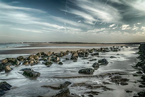 Rückzug des Meeres an einem Strand in Zeeland von Bianca Boogerd