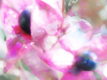 dance of light by fantasina