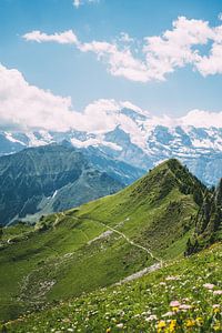 Zonnige Zwitserse Alpen van Patrycja Polechonska