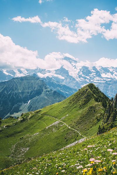Les Alpes suisses ensoleillées par Patrycja Polechonska