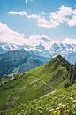 Sonnige Schweizer Alpen von Patrycja Polechonska Miniaturansicht