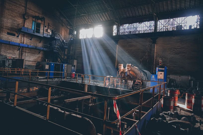 Sunbeams by Dennis Lexmond