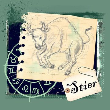 Stier van Studio Zes