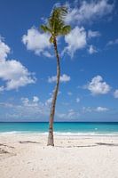 Aruba