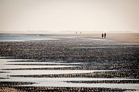 Ochtendwandeling op de strand bij Ouddorp