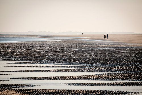 Ochtendwandeling op de strand bij Ouddorp