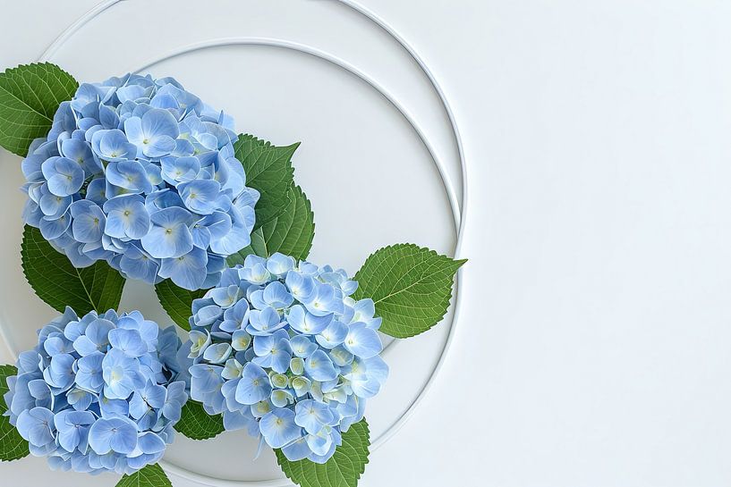 Harmonie d'hortensias par Poster Art Shop