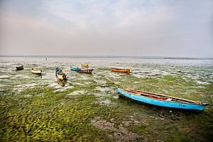 Diu: wenn sich das Meer zurückzieht