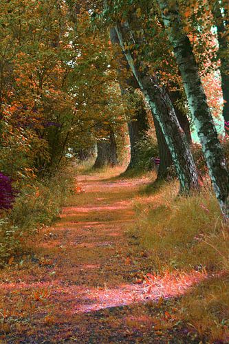 Weg im Park