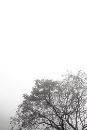 Baum von Myrthe Vlasveld