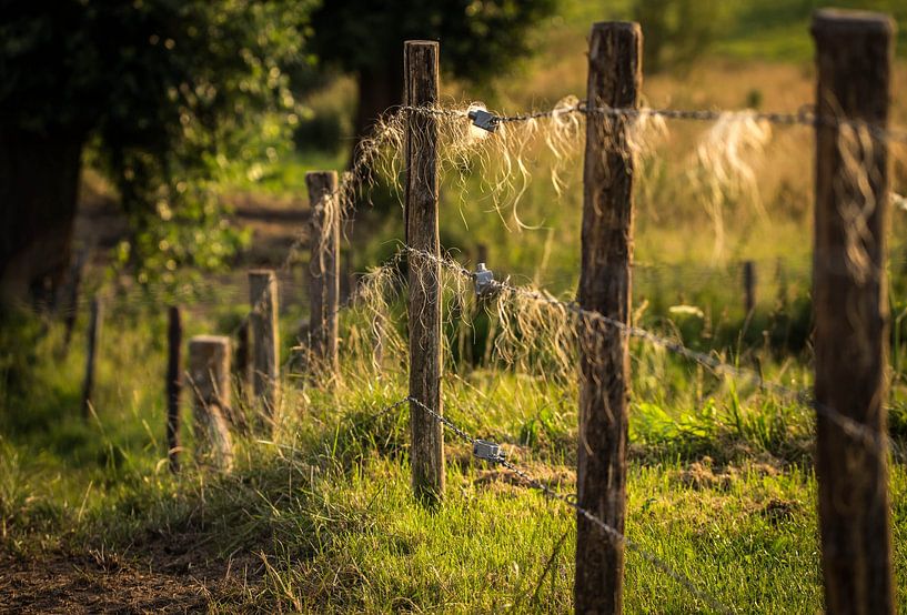 Still life in the Geul Valley by piet douma
