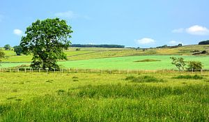  Northumberland Scenery sur Gisela Scheffbuch