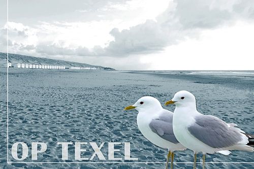 Sur Texel