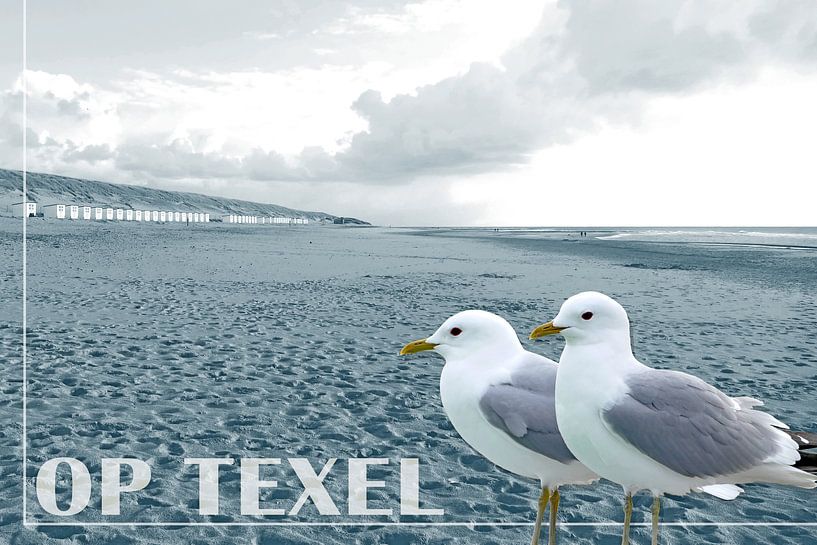 Op Texel van christine b-b müller