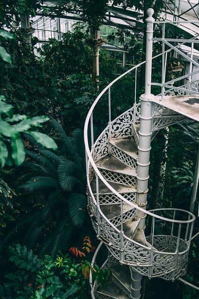 Spiral Staircase by Patrycja Polechonska
