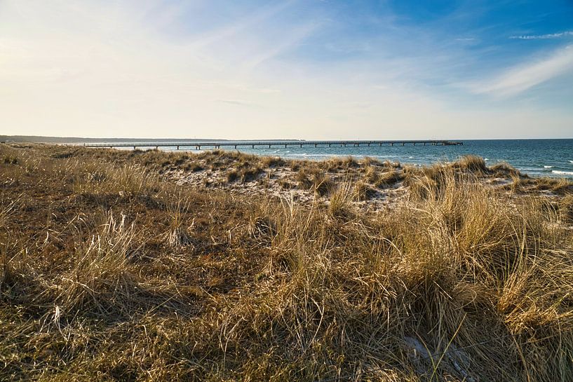 On the sandy beach of the Baltic Sea coast by Martin Köbsch