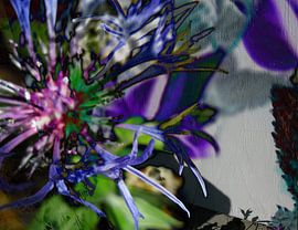 Blüte by Helmut Englisch