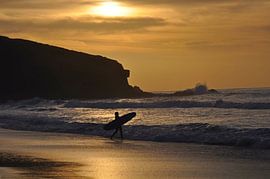 SURFER 4 von Miroslav Ptacek