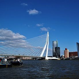 Erasmusbrug met de Rotterdammer Rotterdam / Erasmusbridge van Maurits Bredius