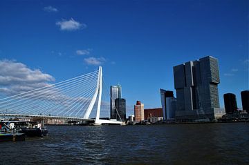 Erasmusbrug met de Rotterdammer Rotterdam / Erasmusbridge van Maurits Bredius