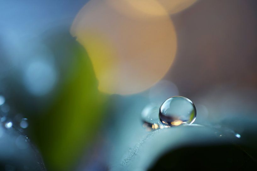 Macro - Druppel by Angelique Brunas