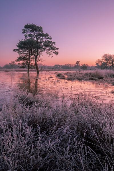 Colourful sunrise by Moetwil en van Dijk - Fotografie