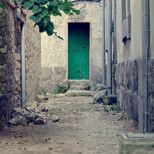 Backdoor Cartoixa de Valldemossa