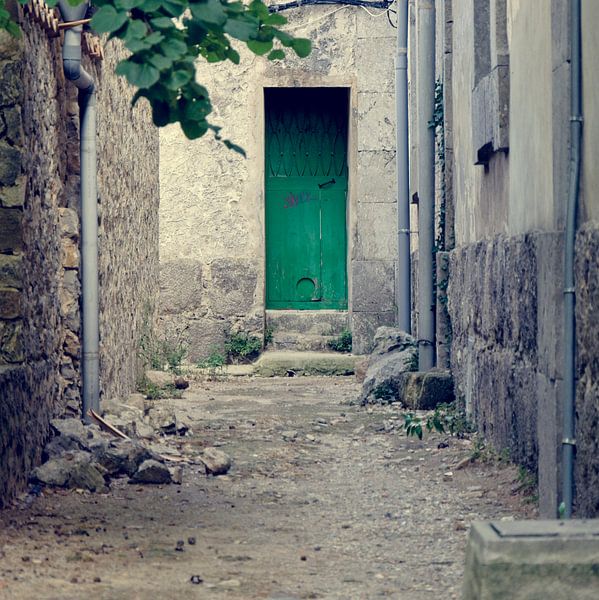 Hintertür Cartoixa de Valldemossa von Arjen van de Belt