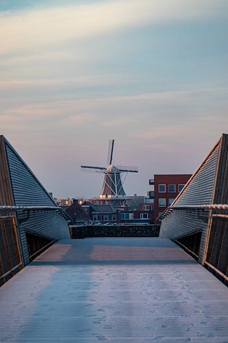 Winteransicht der Mühle Adam - Delfzijl in der Morgenkälte