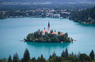 Die Insel Bled von Steven Marinus Miniaturansicht